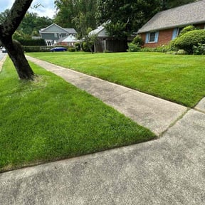yard care by Mr. Jims' Lawn Care L.L.C reviewed on August 16, 2025