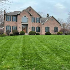 landscape maintenance by Santos Lawn Service reviewed on August 20, 2025