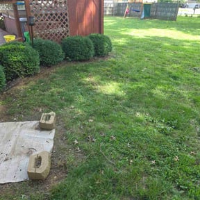 Leaf Removal by RGM ,LANDSCAPING reviewed on June 1, 2026
