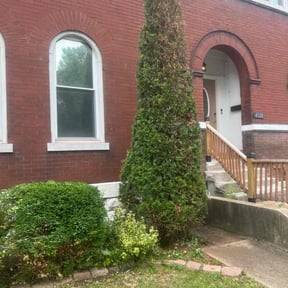 Bush Trimming by Mckinneys Lawn & Tree Care reviewed on August 15, 2025