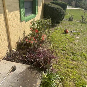 Bush Trimming by Uppercuts Lawn Care reviewed on August 17, 2025