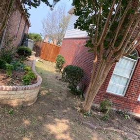 Bush Trimming by Big City Lawn Care LLC reviewed on August 15, 2025