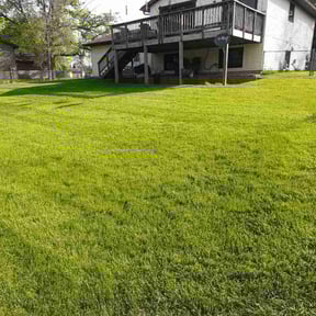 lawn maintenance by GOAT Lawn Sevice reviewed on June 2, 2022