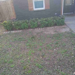 Bush Trimming by Maximum Landscaping &amp; Lawn care reviewed on April 2, 2026