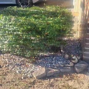 Bush Trimming by Douglas Lawn and Services LLC reviewed on October 18, 2025