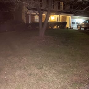 Leaf Removal by Striking Precision lawn service reviewed on September 25, 2025