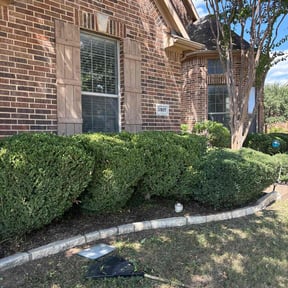 Bush Trimming by Gratitude lawn maintenance reviewed on November 19, 2025