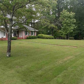 landscape maintenance by It Grow We Mow Lawncare LLC reviewed on August 16, 2025
