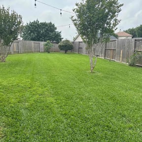 landscaping services by Washington Lawn Service reviewed on August 15, 2025