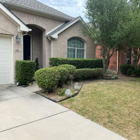 Bush Trimming by Frederickson Lawn Management reviewed on August 16, 2025
