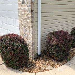 Bush Trimming by PS and CS Services Unlimited reviewed on August 15, 2025