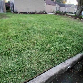 grass maintenance by Jay's Resource reviewed on March 3, 2024