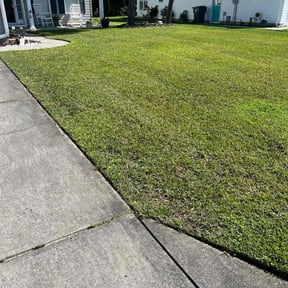 lawn service by The Swole Life Corporation  dba Swole &amp; Bold Lawn Grooming reviewed on April 7, 2024