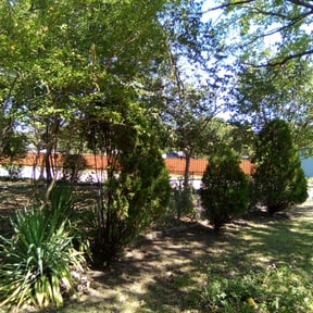 Bush Trimming by WBC lawn reviewed on August 20, 2025