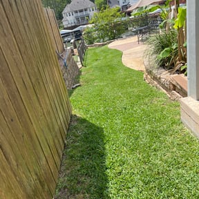 Bush Trimming by Top Notch Lawn Care& MAINTENCE reviewed on August 14, 2025