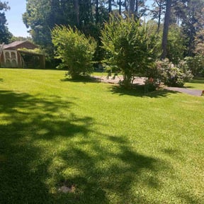 lawn care services by Geon Woo Kim reviewed on August 17, 2025