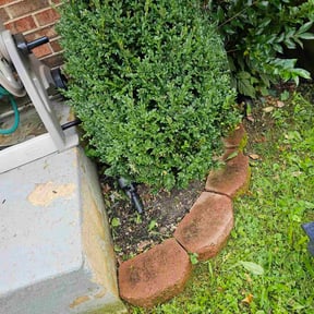 Flower Bed Weeding by C&amp;J landscaping LLC reviewed on November 24, 2025