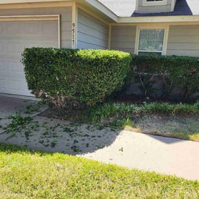 Bush Trimming by Solid Ground Landscaping reviewed on August 18, 2025