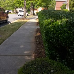 Bush Trimming by Choice Landscaping and Lawncare reviewed on August 18, 2025