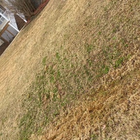 Leaf Removal by Catspaw LLC reviewed on September 9, 2025