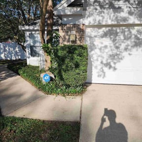 Bush Trimming by Lowcountry Landscape and Design LLC reviewed on August 18, 2025