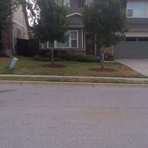Bush Trimming by McHenry Landscaping and Pressure Washing reviewed on August 15, 2025