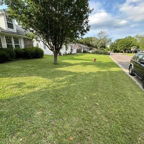 gardening service by GoFresh Lawn Care reviewed on August 17, 2025