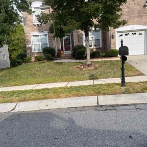 Bush Trimming by Isaiah&#039;s Custom Cutz reviewed on April 2, 2022