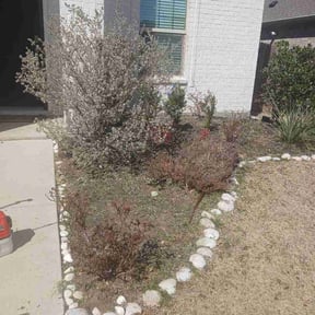 Flower Bed Weeding by Schuetz Landscaping Services reviewed on June 10, 2026