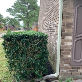 Bush Trimming by Morgan Henry Lawn Care reviewed on August 20, 2025