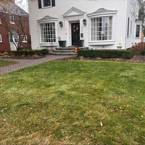 Leaf Removal by LCG Groundskeeping, LLC reviewed on November 21, 2025