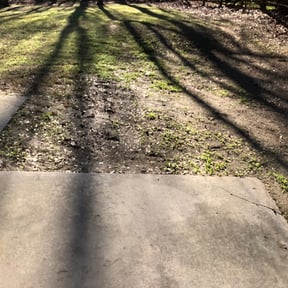 Leaf Removal by New leaf Landscaping reviewed on August 21, 2025