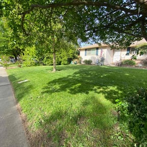 yard work by Rick and sons reviewed on August 19, 2025