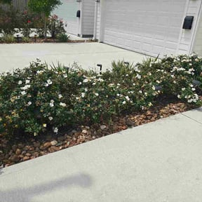 Flower Bed Weeding by As lawn care reviewed on May 7, 2026