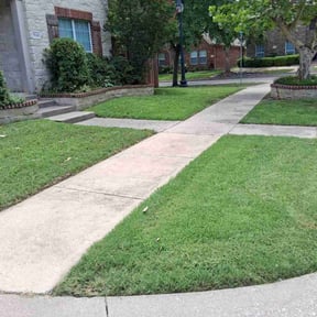 landscaping by S&D Lawn and Trash Services reviewed on August 20, 2025