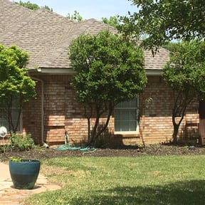 Bush Trimming by real lawn service reviewed on August 19, 2025