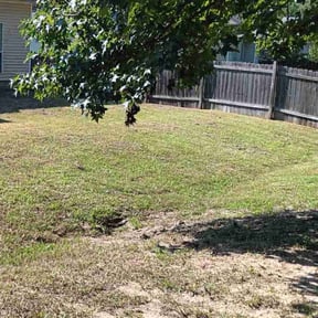 grass maintenance by BLUE SKY LAWNCARE LLC reviewed on May 1, 2025