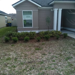 Bush Trimming by Man vs Lawns reviewed on August 21, 2025