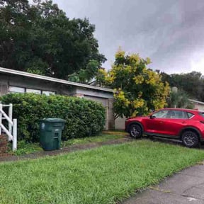 Bush Trimming by Integrity Curb Appeal reviewed on October 19, 2025