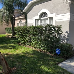 Bush Trimming by C&J Lawn Care reviewed on August 20, 2025