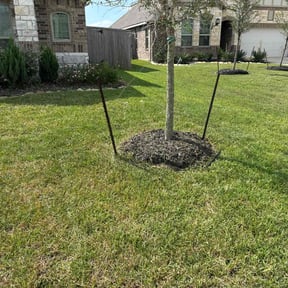 Flower Bed Weeding by County Line Services reviewed on August 17, 2025