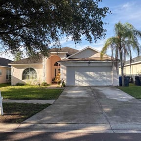 turf care by Sam's lawn care reviewed on August 20, 2025
