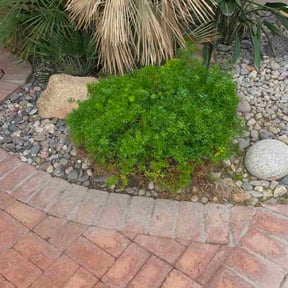 Bush Trimming by EOW 618 lawn care reviewed on May 27, 2026
