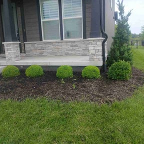 Bush Trimming by Gios Multitask Lawn &amp; Landscaping Services LLC reviewed on April 12, 2025