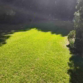 gardening service by Jay-Lyns LLC reviewed on August 19, 2025