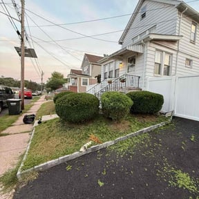 Bush Trimming by Legit Lawn Care Plus reviewed on November 24, 2025