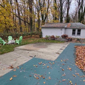 Leaf Removal by shrubsandmorebyc&amp;b reviewed on November 21, 2025