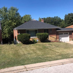 Bush Trimming by Keith Dalke reviewed on October 7, 2023