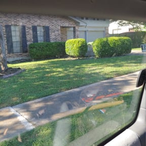 Bush Trimming by ACDServ LLC reviewed on August 21, 2025