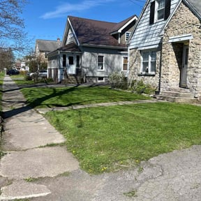turf maintenance by Harvey Handy & Lawn reviewed on July 4, 2025